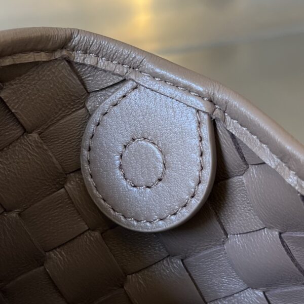 Bottega Veneta BV Mini Sardine