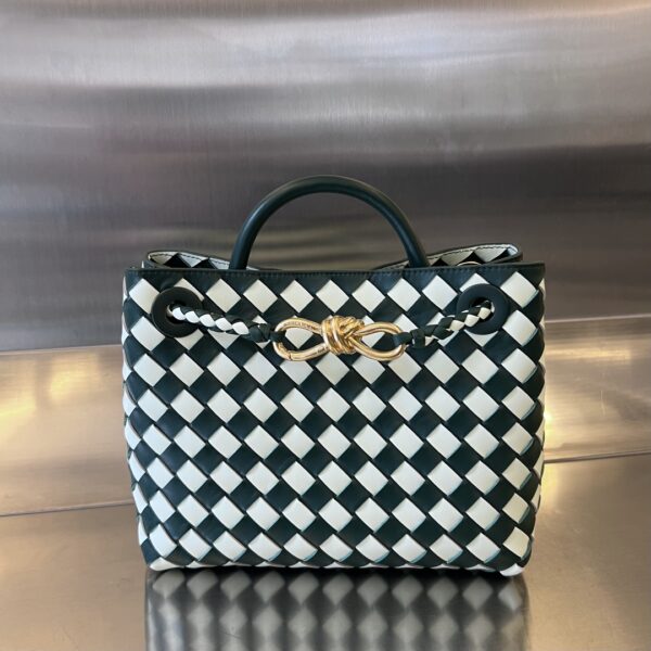 Bottega Veneta BV Small Andiamo