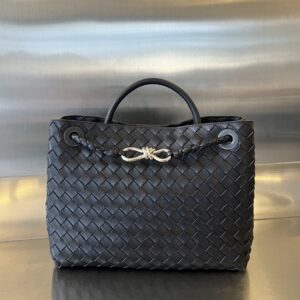 BOTTEGA VENETA MEDIUM ANDIAMO BAG