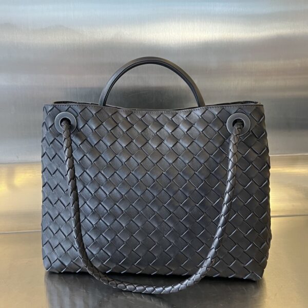 BOTTEGA VENETA MEDIUM ANDIAMO BAG