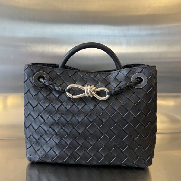 BOTTEGA VENETA BV Small Andiamo
