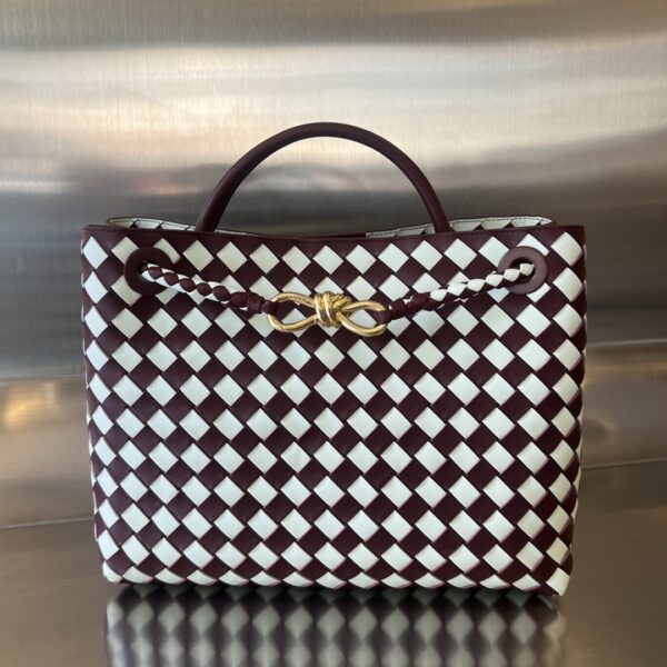Bottega Veneta Medium Andiamo