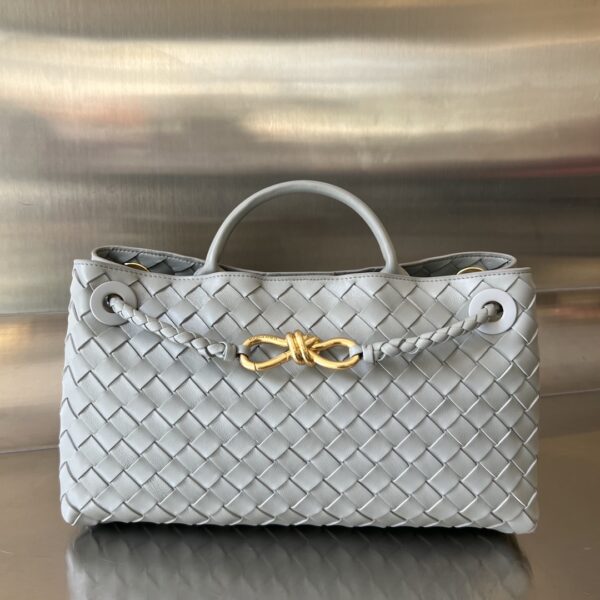 Bottega Veneta Small East/West Andiamo