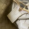 Bottega Veneta Mini Loop Camera Bag