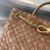 BOTTEGA VENETA MEDIUM ANDIAMO BAG