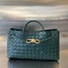 Bottega Veneta Small East/West Andiamo