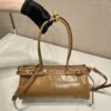 Prada LusSolf Medium Leather Handbag