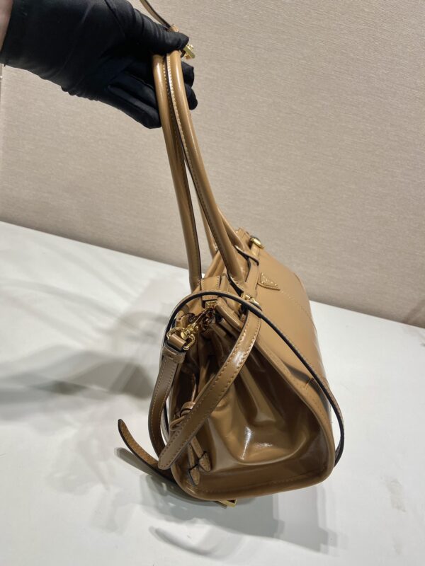 Prada LusSolf Medium Leather Handbag