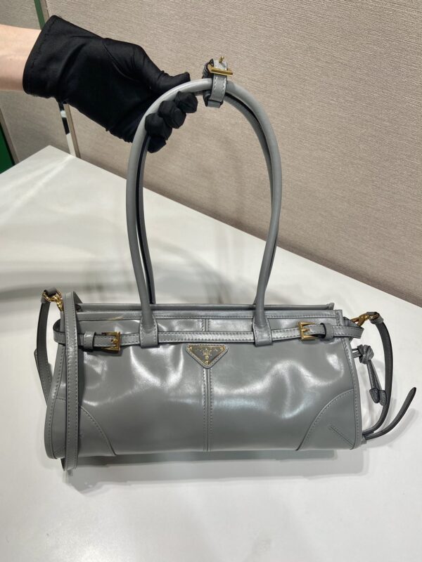 Prada LusSolf Medium Leather Handbag