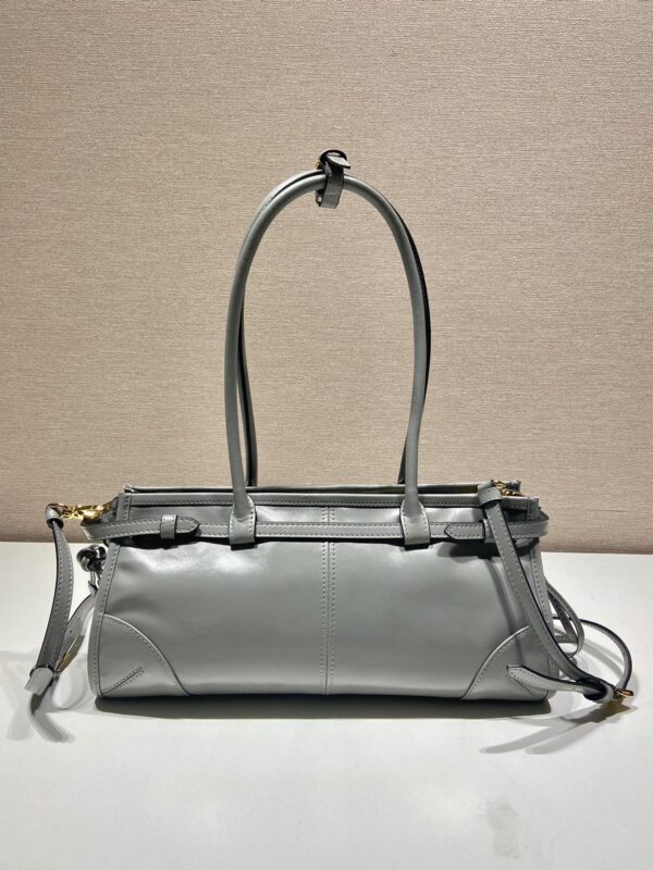 Prada LusSolf Medium Leather Handbag