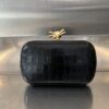 Bottga Veneta Knot Bag