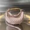 Bottega Veneta BV Mini Sardine