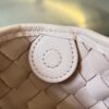 Bottega Veneta BV Mini Sardine