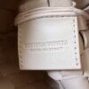 Bottega Veneta BV Mini Sardine