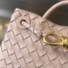 BOTTEGA VENETA BV Small Andiamo