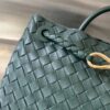 BOTTEGA VENETA MEDIUM ANDIAMO BAG