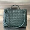 BOTTEGA VENETA MEDIUM ANDIAMO BAG