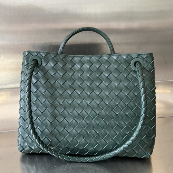 BOTTEGA VENETA MEDIUM ANDIAMO BAG