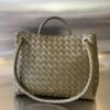 BOTTEGA VENETA MEDIUM ANDIAMO BAG