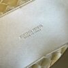 BOTTEGA VENETA MEDIUM ANDIAMO BAG