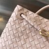 BOTTEGA VENETA MEDIUM ANDIAMO BAG