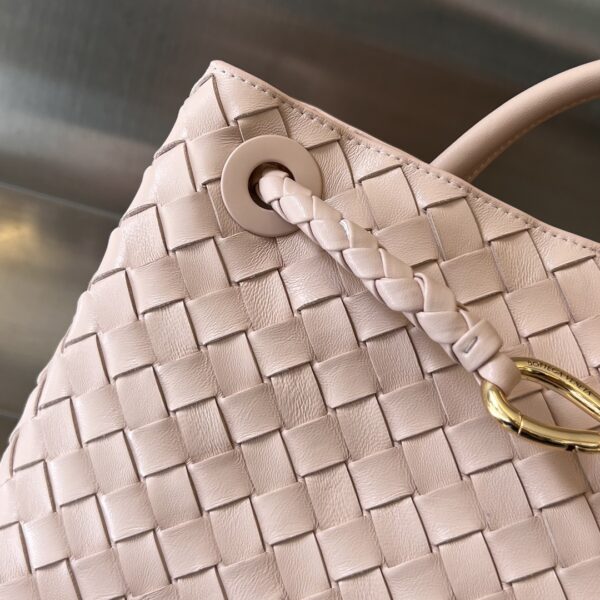 BOTTEGA VENETA MEDIUM ANDIAMO BAG