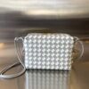Bottega Veneta Small Loop Camera Bag