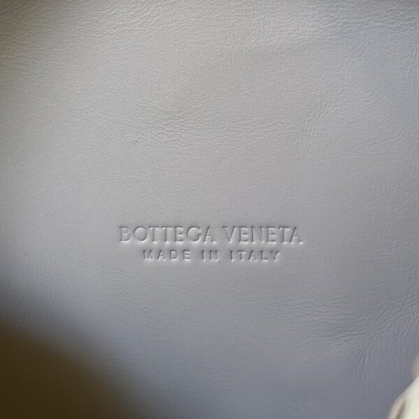 Bottega Veneta Small Loop Camera Bag