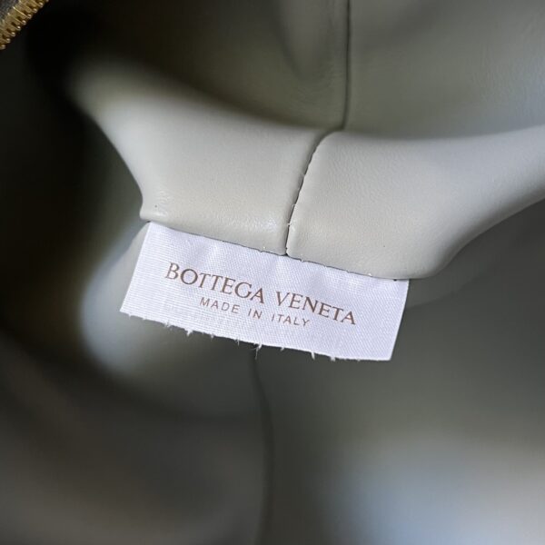 Bottega Veneta Small Loop Camera Bag