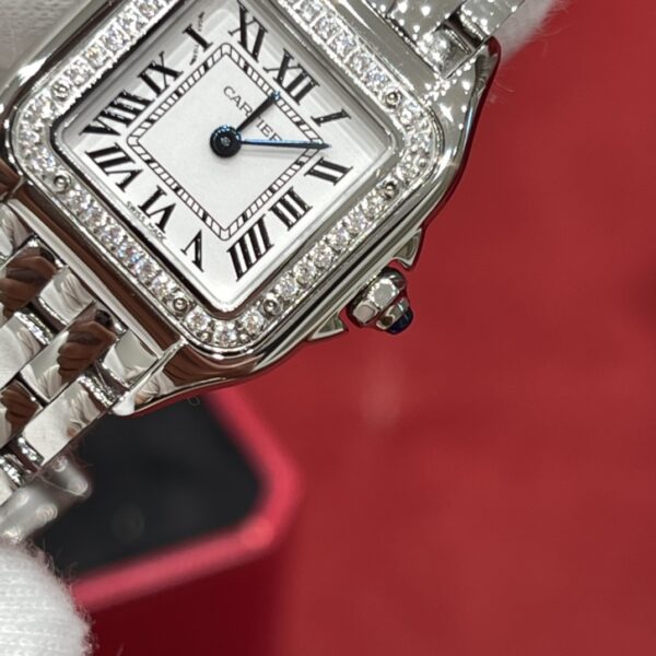 Cartier Watch