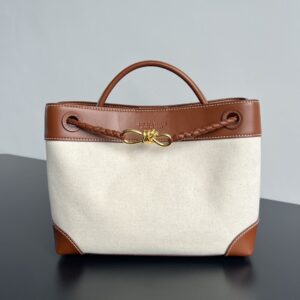BOTTEGA VENETA MEDIUM ANDIAMO BAG
