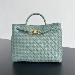 BOTTEGA VENETA MEDIUM ANDIAMO BAG