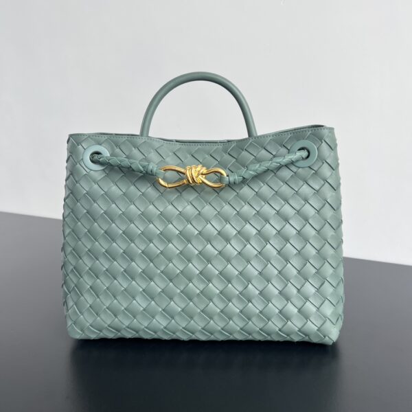 BOTTEGA VENETA MEDIUM ANDIAMO BAG