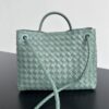 BOTTEGA VENETA MEDIUM ANDIAMO BAG
