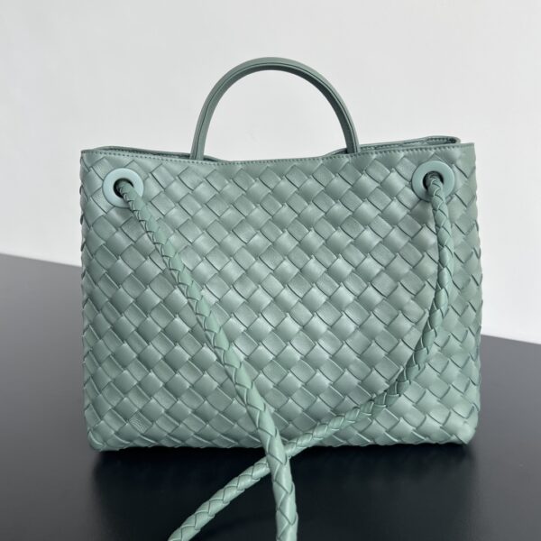 BOTTEGA VENETA MEDIUM ANDIAMO BAG
