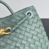 BOTTEGA VENETA MEDIUM ANDIAMO BAG