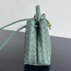 BOTTEGA VENETA BV Small Andiamo
