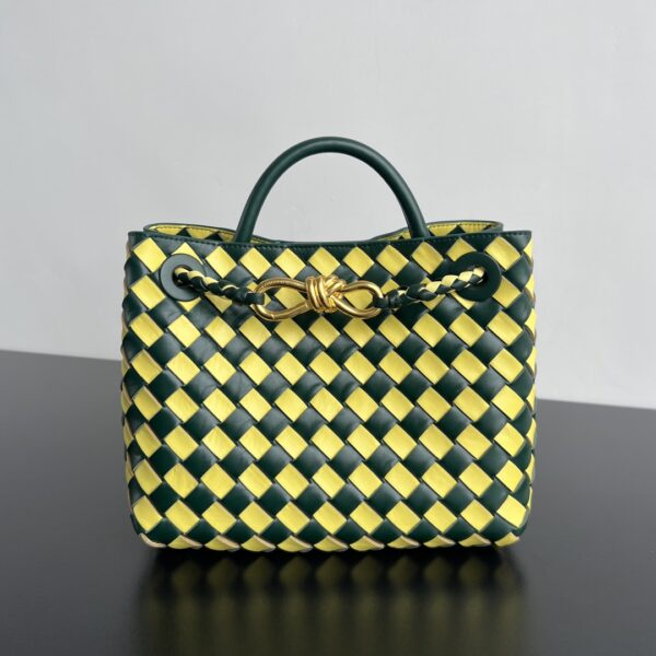 Bottega Veneta BV Small Andiamo