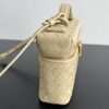 Bottega Veneta Bang Bang Vanity Case