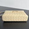Bottega Veneta Bang Bang Vanity Case