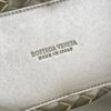 BOTTEGA VENETA BV Small Andiamo With Chain