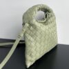 Bottega Veneta Mini Hop