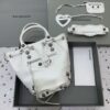 Balenciaga city