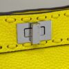 FENDI PEEKABOO I see you petite mini