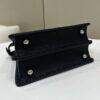 FENDI PEEKABOO I see you petite mini