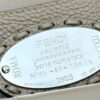FENDI BAGUETTE