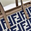 Fendi Mini Roll Bag