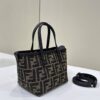 Fendi Mini Roll Bag