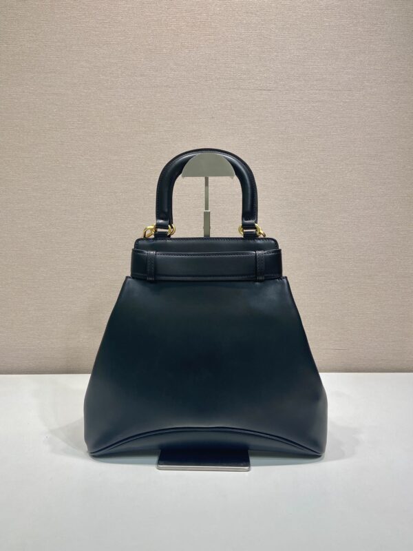 Prada Medium Prada Carey leather bag
