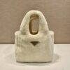 Prada Leather mini bag